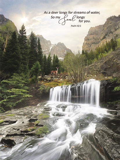 Lori Deiter LD2583 - LD2583 - My Soul Longs for You I - 12x18 Photography, Landscape, Waterfall, Deer, Religious, As a Deer Longs for Streams of Water, So My Soul Longs for You, Bible Verse, Psalm, Typography, Signs, Textual Art, Nature from Penny Lane