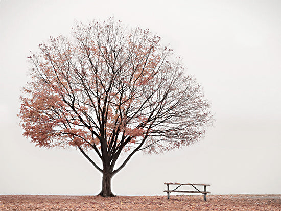 Lori Deiter LD2589 - LD2589 - Barely There - 12x16 Trees, Table, Picnic Table, Leaves, Autumn, Photography from Penny Lane