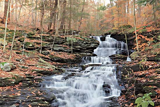 Lori Deiter LD2596 - LD2596 - Waterfall Steps at Pigeon Run - 18x12 Pigeon Run, Pennsylvania, Waterfall, Rocks, Lake, Photography from Penny Lane