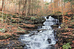 LD2596 - Waterfall Steps at Pigeon Run - 18x12