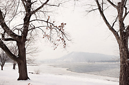 Lori Deiter LD2638 - LD2638 - Snowy Susquehanna   - 18x12 Susquehanna River, Snow, Winter, Trees, Photography from Penny Lane