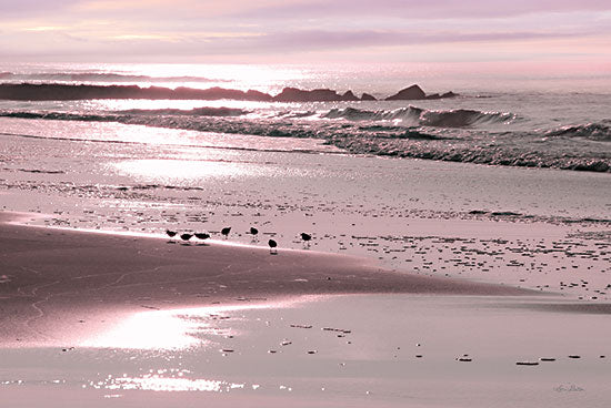 Lori Deiter LD2696 - LD2696 - Breakfast on the Beach - 18x12 Beach, Coastal, Sand, Pink, Landscape, Photography from Penny Lane