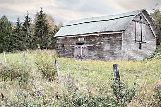 Lori Deiter LD2718 - LD2718 - Rustic Country Barn - 18x12 Rustic Country Barn, Barn, Farm, Rustic, Country, Field, Photography from Penny Lane