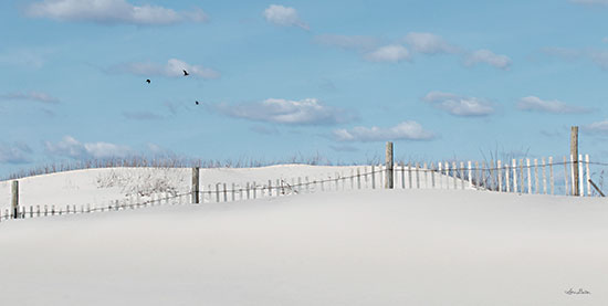 Lori Deiter LD2770 - LD2770 - White Sandy Shore - 18x9 Coastal, Sand, Fence, Beach, Coast, Landscape from Penny Lane