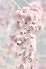 LD2824 - Weeping Cherry - 12x18
