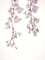 LD2829LIC - Weeping Cherry on White II - 0