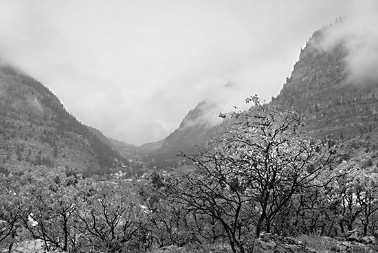 Lori Deiter LD2869 - LD2869 - San Juan Skyway II  - 18x12 Photography, Landscape, San Juan, Skyway, Mountains, Trees, Clouds, Black & White from Penny Lane