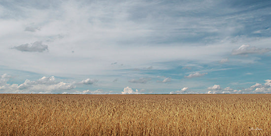 Lori Deiter LD2872 - LD2872 - Golden Summer Field - 18x9 Photography, Farm, Field, Summer, Clouds, Landscape, Nature from Penny Lane