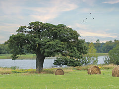 LD2878 - Summer Hay Harvest - 16x12