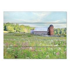 LD2879PAL - Summer on the Farm - 16x12