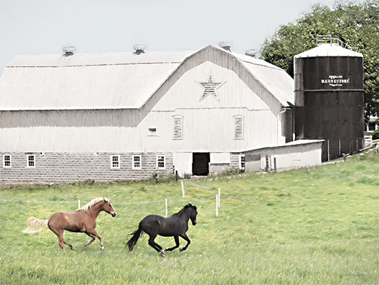 Lori Deiter LD2890 - LD2890 - Afternoon Run on the Farm - 16x12 Barn, Farm, Horses, Field, Photography, Landscape, Country from Penny Lane