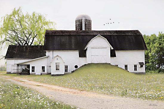 Lori Deiter LD2894 - LD2894 - Big Country Barn - 18x12 Barn, Farm, Road, Photography, Country from Penny Lane