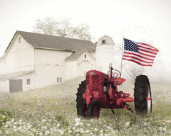 LD2913LIC - Old Glory at the Barn - 0