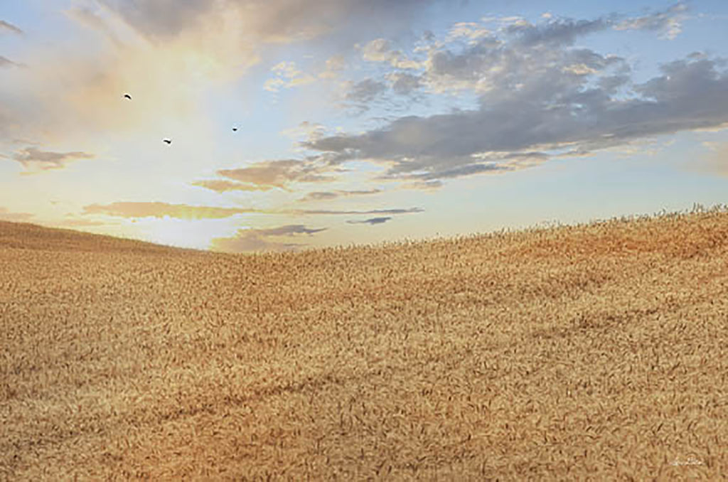 Lori Deiter Licensing LD2914LIC - LD2914LIC - Amber Waves of Grain at Sunrise - 0  from Penny Lane