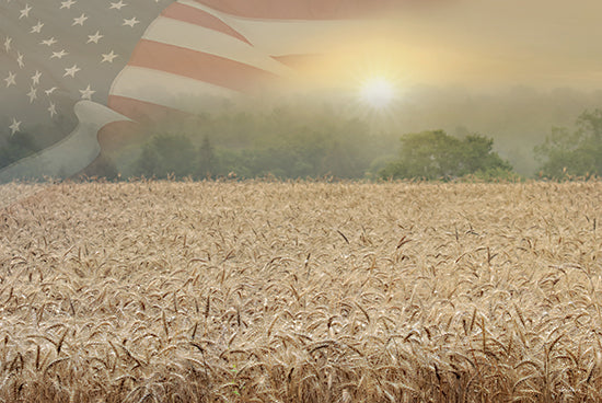 Lori Deiter LD2915 - LD2915 - Patriotic Amber Waves of Grain - 18x12 Patriotic, Wheat Field, Landscape, Photography, American Flag, Sunlight, Field, Farm, Independence Day from Penny Lane