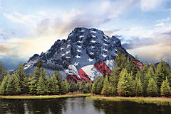 LD2922 - Patriotic Tetons   - 18x12