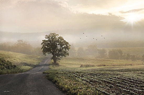 Lori Deiter LD2948 - LD2948 - Foggy Country Road II - 18x12 Country Road, Fog, Trees, Road, Landscape, Photography, Weather, Nature from Penny Lane