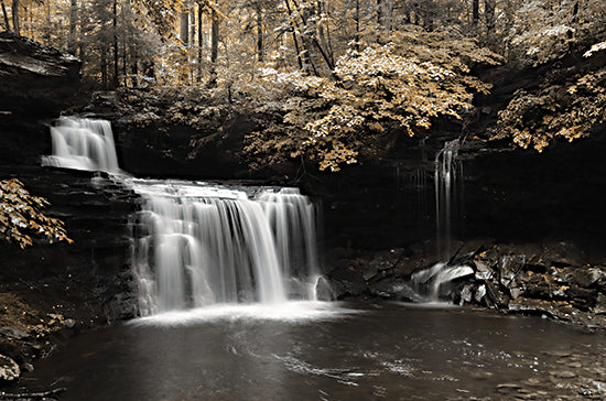 Lori Deiter LD2957 - LD2957 - Golden Waterfall I - 18x12 Waterfall, Nature, Trees, Park, Forest, Photography, Landscape from Penny Lane