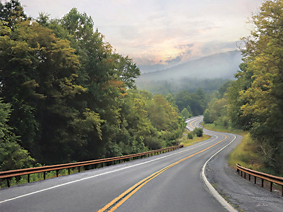 Lori Deiter LD2959 - LD2959 - Curve Ahead - 16x12 Curvy Road, Road, Landscape, Trees, Hill, Photography, Street from Penny Lane