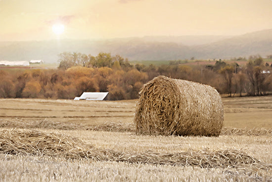 Lori Deiter LD2963 - LD2963 - Golden Country Sunrise - 18x12 Farm, Fields, Hay Fields, Haybales, Fall, Landscape, Photography from Penny Lane