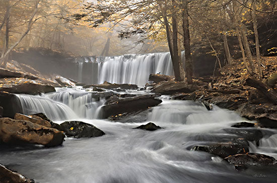 Lori Deiter LD3026 - LD3026 - Golden Oneida Falls - 18x12 Oneida Falls, Pennsylvania, Nature, Trees, Landscape from Penny Lane