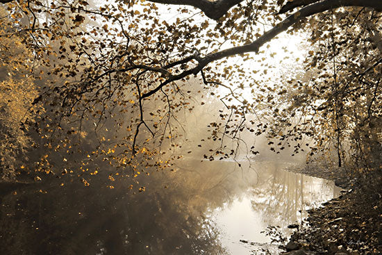 Lori Detier Licensing LD3043LIC - LD3043LIC - Morning Rays at Swatara Creek - 0  from Penny Lane