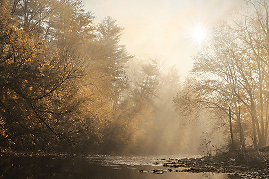 Lori Deiter LD3045 - LD3045 - Treasure the Moments - 18x12 Photography, Landscape, Creek, Fall, Trees, Nature from Penny Lane