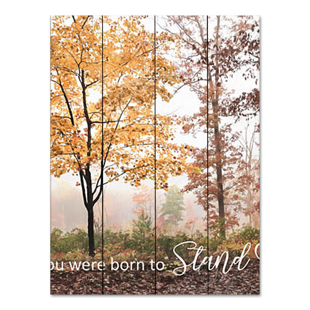 Lori Deiter LD3046PAL - LD3046PAL - You Were Born to Stand Out - 16x12 Inspirational, You Were Born to Stand Out, Motivational, Typography, Signs, Fall from Penny Lane