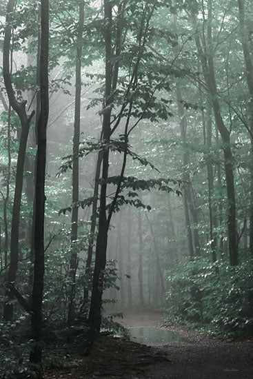 Lori Detier Licensing LD3057LIC - LD3057LIC - Misty Forest - 0  from Penny Lane