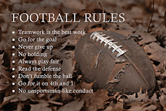 LD3086 - Football Rules - 18x12