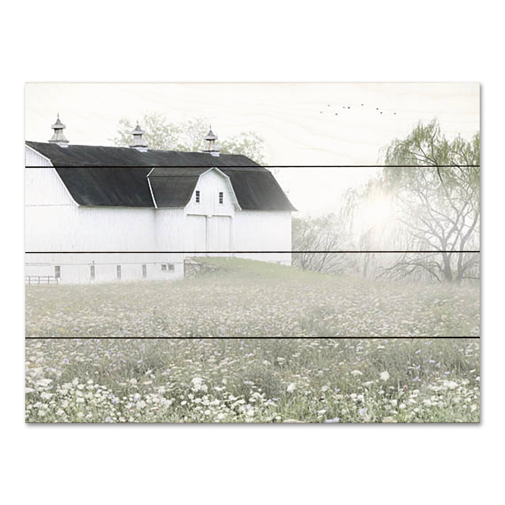 Lori Deiter LD3101PAL - LD3101PAL - Foggy Country Barn - 16x12 Farm, Barn,  White Barn, Wildflowers, Photography, Fog, Weather, Farmhouse/Country, Spring from Penny Lane