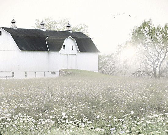 Lori Deiter LD3101 - LD3101 - Foggy Country Barn - 16x12 Farm, Barn,  White Barn, Wildflowers, Photography, Fog, Weather, Farmhouse/Country, Spring from Penny Lane