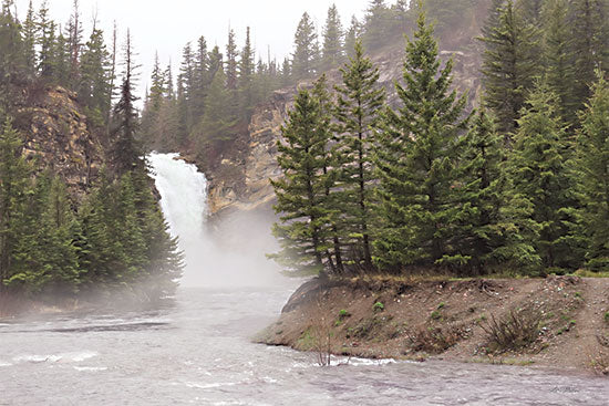 Lori Deiter LD3102 - LD3102 - Glacier National Park Waterfall - 18x12 Photography, Landscape, Glacier National Park, Waterfall, Montana, Trees, Nature from Penny Lane