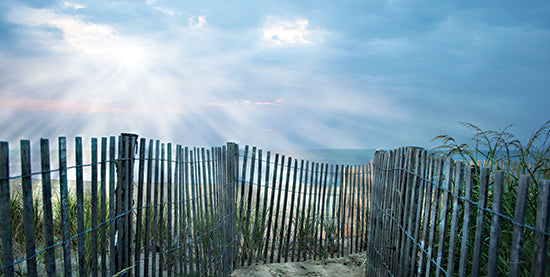 Lori Deiter LD3197 - LD3197 - Dewey Sunrays - 18x9 Coastal, Beach, Fence, Sunlight, Ocean, Beach Grass, Path, Summer, Landscape, Photography from Penny Lane