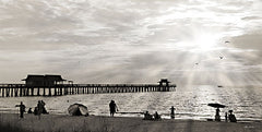 LD3203 - Sunset at Naples Pier - 18x9