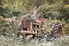 LD3241 - Country Garden Tractor - 18x12