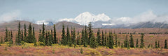 LD3263A - Dreams of Denali - 36x12