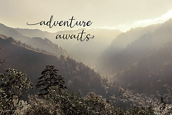 Lori Deiter LD3272 - LD3272 - Adventure Awaits - 18x12 Photography, Mountains, Trees, Adventure Awaits, Typography, Signs, Textual Art, Sepia, Fog from Penny Lane