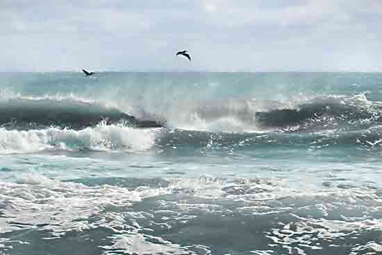 Lori Deiter LD3288 - LD3288 - Sea Birds Among the Waves - 18x12 Coastal, Ocean Waves, Landscape, Photography, Birds, Nature from Penny Lane