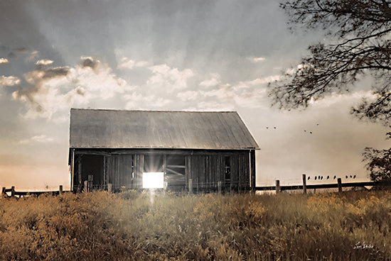 Lori Deiter LD3301 - LD3301 - Skyline Drive Sunrise - 18x12 Photography, Barn, Rustic Barn, Farm, Wheat Field, Sunrise, Sunrays, Landscape from Penny Lane