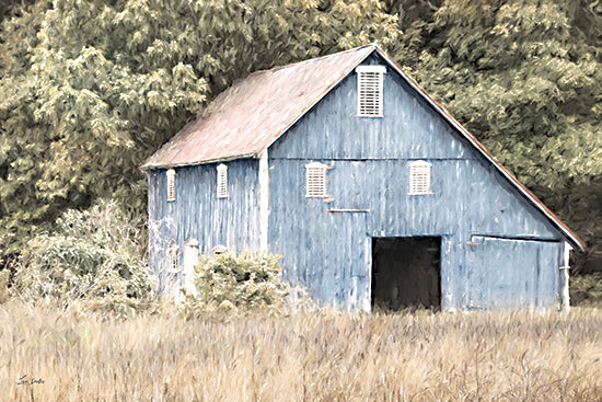 Lori Deiter LD3305 - LD3305 - Tucked in the Trees - 18x12 Barn, Blue Barn, Farm, Photography, Wheat Field, Trees from Penny Lane