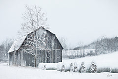 LD3366 - Snow Day in the Country - 18x12