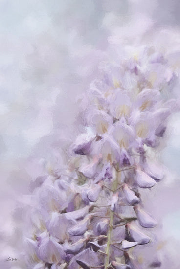 Lori Deiter LD3421 - LD3421 - Whimsical Wisteria II - 12x18 Photography, Flowers, Wisteria, Purple Wisteria, Closeup from Penny Lane