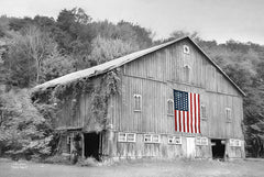 LD775 - Patriotic Farm II - 18x12