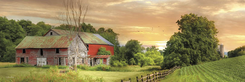 Lori Deiter LD802 - LD802 - Greener Pastures - 36x12 Barn, Farm, Rustic, Photography, Trees, Fields from Penny Lane