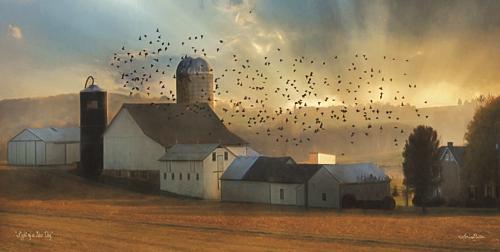 Lori Deiter LD912 - Light of a New Day - Farm, Homestead, Birds, Landscape, Inspirational, Photography, Farm Life from Penny Lane Publishing