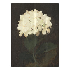 LET489PAL - Vintage White Hydrangea - 12x16