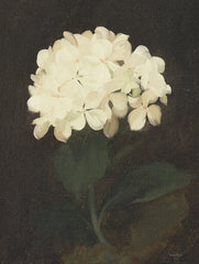 LET489 - Vintage White Hydrangea - 12x16