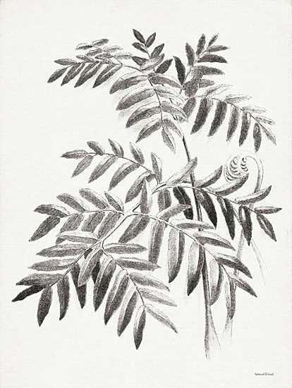 lettered & lined LET550 - LET550 - Leaf Illustration I - 12x16 Leaves, Sketch, Botanical from Penny Lane