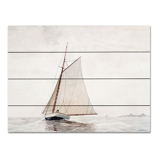 lettered & lined LET559PAL - LET559PAL - Sailing Excursion - 16x12 Sailboat, Lake, Coastal, Masculine from Penny Lane